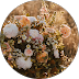 Dalby Florist